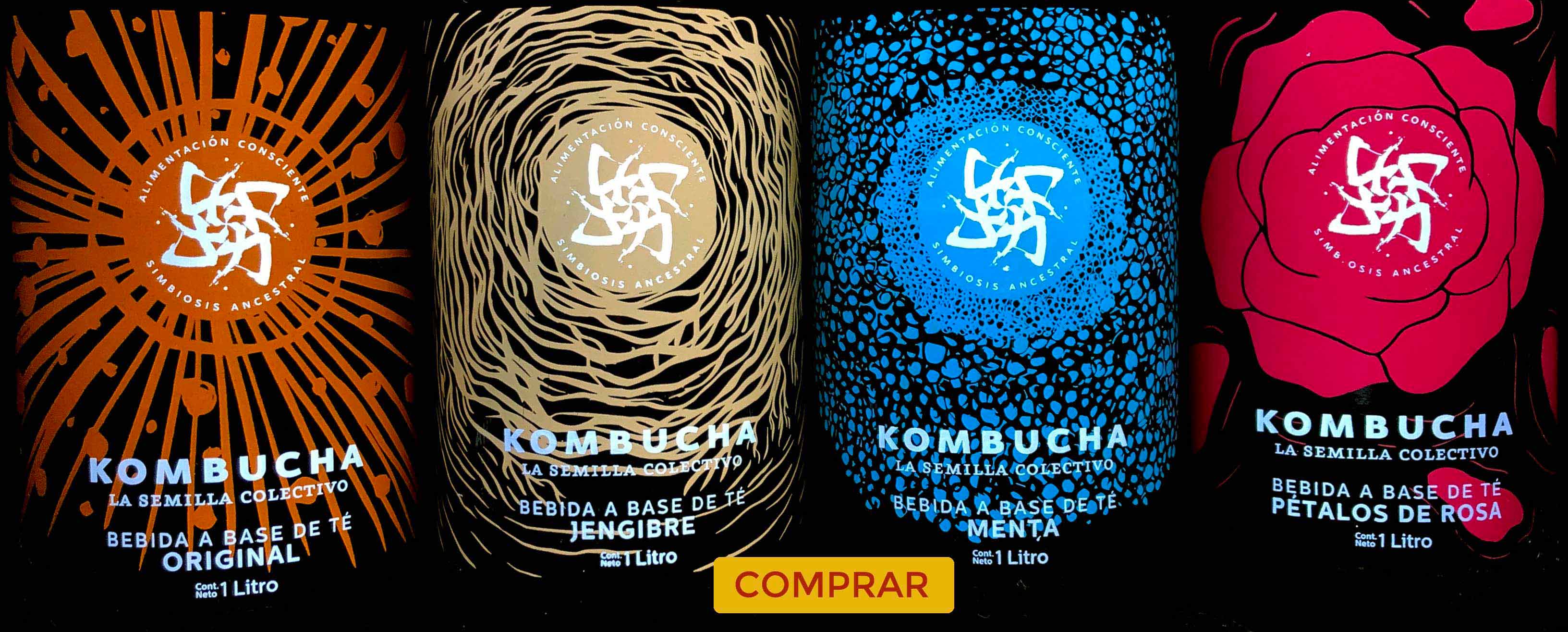 Botellas de Kombucha de sabores