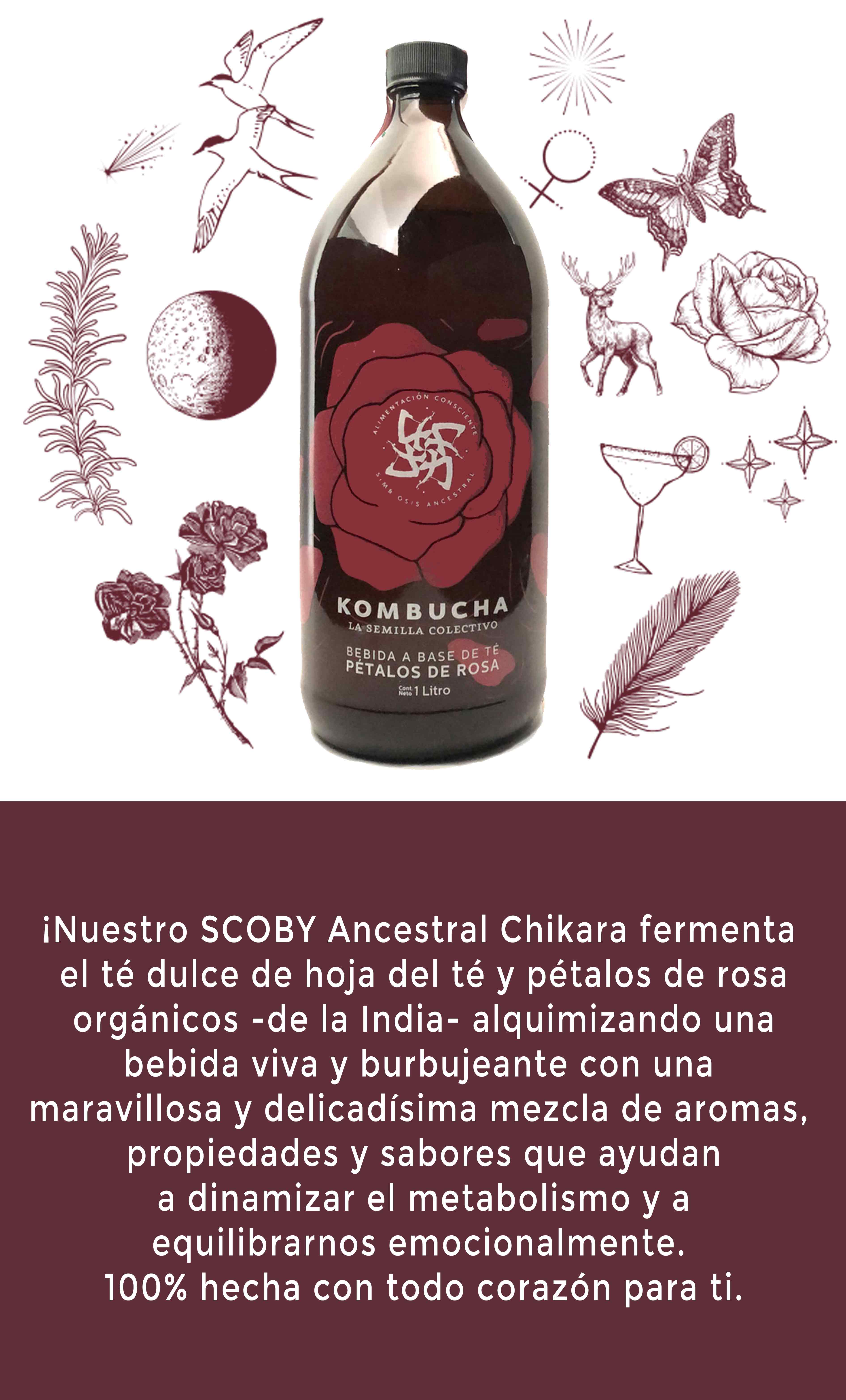 Kombucha sabor Pétalos de Rosa