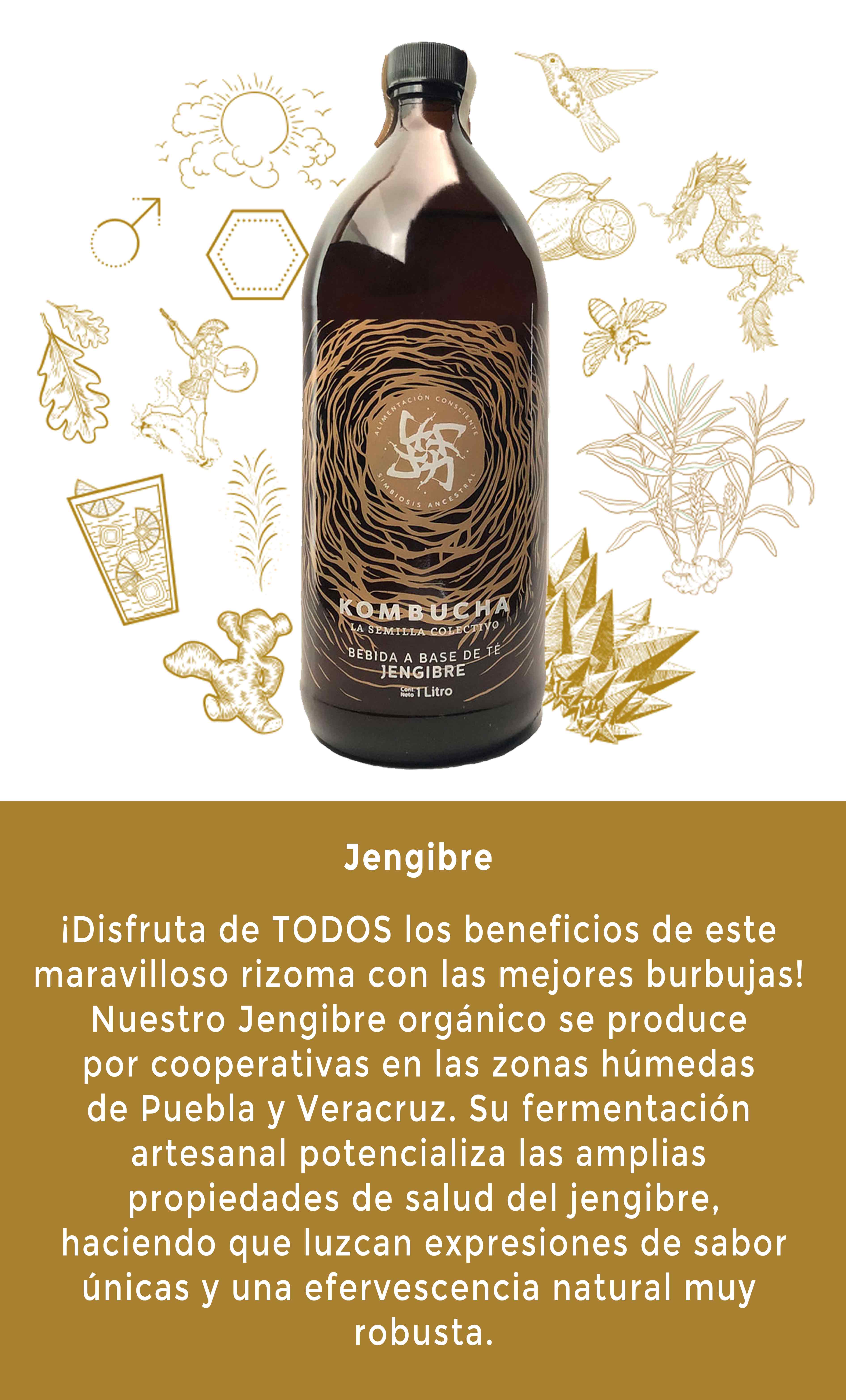 Kombucha sabor Jengibre
